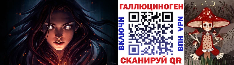 Купить закладки  Александровск-Сахалинский  Галлюциногенные грибы MAGIC MUSHROOMS 